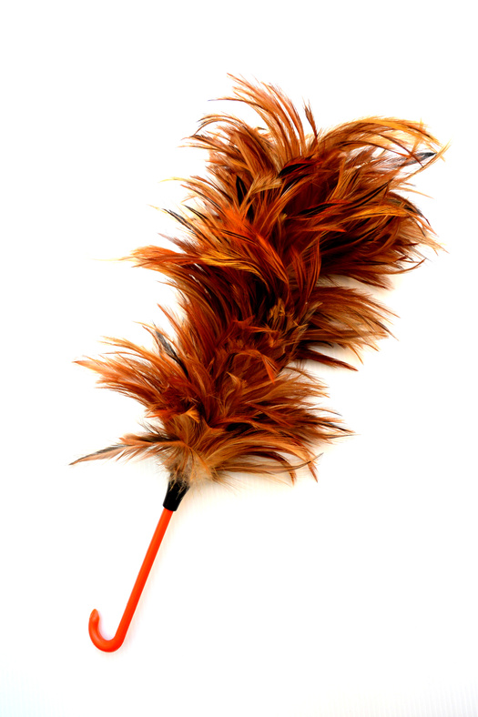 Feather duster